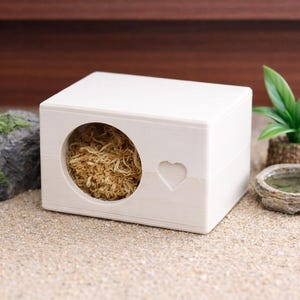 Nascondiglio umido per gechi, serpenti e draghi barbuti – Scatola umida per la muta dei parassiti per terrari