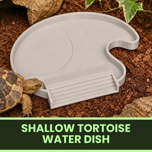 May include: A light gray, shallow, circular tortoise water dish featuring a built-in set of steps on one side. The dish has a smooth, flat interior surface and a raised rim, designed to provide easy access for a tortoise to enter and exit.