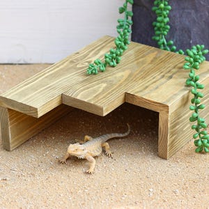 Reptile Corner Hide & Bearded Dragon Basking Platform – Natural Safe Wood for Geckos and Beardies – Perfect Gift for Reptile Lovers