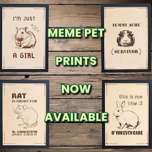 May include: Four rectangular wooden wall art prints featuring black line art illustrations of small animals. The top left shows a hamster with the text I'M JUST A GIRL. The top right shows a guinea pig with TUMMY ACHE SURVIVOR. The bottom left shows a rat with RAT IS SHORT FOR RATTHEW. The bottom right shows a rabbit with this is me btw :3 IF YOU EVEN CARE.