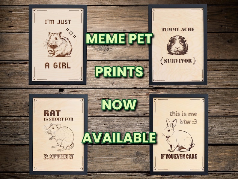 May include: Four rectangular wooden wall art prints featuring black line art illustrations of small animals. The top left shows a hamster with the text I'M JUST A GIRL. The top right shows a guinea pig with TUMMY ACHE SURVIVOR. The bottom left shows a rat with RAT IS SHORT FOR RATTHEW. The bottom right shows a rabbit with this is me btw :3 IF YOU EVEN CARE.