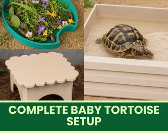 Baby Tortoise Starter Kit - Soaking Bath, Feeding Bowl and Shade Shelter Set - Hatchling and Juvenile Tortoise Enclosure Setup