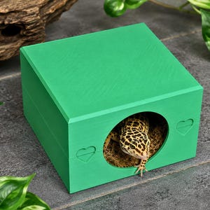 Fuktigt skinn för gecko, orm och skäggagam – Fuktig fälllåda för terrarier och vivarium