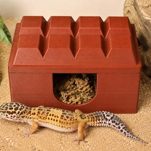 Könnte beinhalten: Ein braunes, rechteckiges Reptilienversteck in Form eines Bausteins mit acht Noppen auf der Oberseite und einem bogenförmigen Eingang. Im Inneren befindet sich etwas getrocknetes Moos. Ein gefleckter Leopardgecko befindet sich vor dem Versteck.