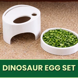 May include: A white dinosaur egg set, including a domed shelter with an oval opening and a circular bowl filled with green material. The text "DINOSAUR EGG SET" is displayed on a green banner.