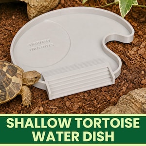 May include: A light grey, circular, shallow water dish for a tortoise, featuring a built-in ramp with steps for easy access and the embossed text "HABITAT HIDEOUTS" on the surface. The dish is positioned next to a small tortoise.