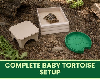 Baby Tortoise Starter Kit - Soaking Bath, Feeding Bowl and Shade Shelter Set - Hatchling and Juvenile Tortoise Enclosure Setup