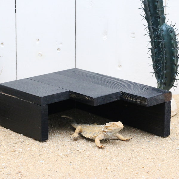 Funky Corner Reptile Hide – Vivarium Decorations for Leopard Gecko, Bearded Dragon, Corn Snake, Crested Gecko, Hamsters, Gerbils, and Mice.