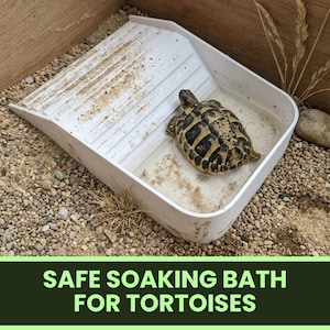 May include: A white plastic soaking bath for tortoises featuring a textured ramp for easy entry and exit. A patterned tortoise is inside the shallow water basin. The text SAFE SOAKING BATH FOR TORTOISES is printed at the bottom of the image.