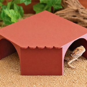 XL Bearded Dragon, Hermanns Tortoise, Python Hide – Climbing Basking Spot for Terrarium & Vivarium