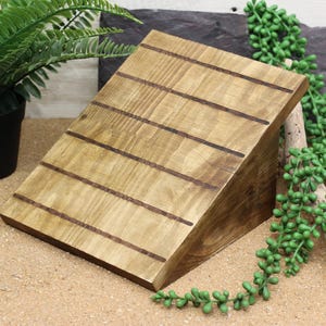 Reptile Climbing Ramp and Bearded Dragon Basking Platform: Natural, Safe Wood for Geckos and Beardies – An Ideal Gift for Reptile Lovers