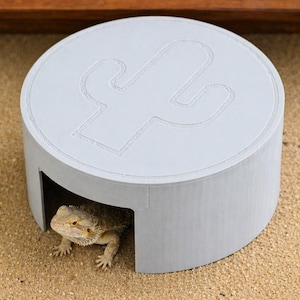 Puede incluir: Un escondite cilíndrico gris claro para reptiles con un diseño de cactus en la parte superior. Un dragón barbudo es visible dentro del escondite, que está sobre una superficie arenosa. El escondite es un accesorio para mascotas.