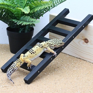 Natural Wood Reptile Ladder Bridge Stairs – Climbing Toy for Bearded Dragons, Geckos, Snakes, Amphibians & Small Pets