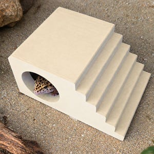 May include: A beige, stepped platform structure featuring a hollow, circular opening on the side. A small, spotted leopard gecko is visible inside the opening. The structure has four distinct levels leading to a flat top surface.