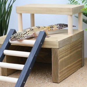 Rustic Bottomless Reptile, Lizard, Snake, Rodent, and Amphibian Hide. Natural Vivarium Decorations and Pet Gifts. Handmade and Eco-Friendly