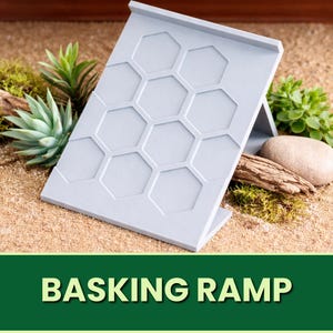 May include: A light gray basking ramp with a honeycomb pattern, propped up on a sandy surface. The ramp is surrounded by greenery, a small rock, and a piece of driftwood. The text "BASKING RAMP" is displayed on a green banner.