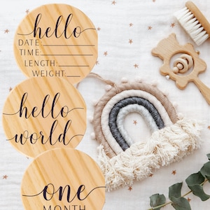 Wooden Baby Milestone Month Disc, Monthly Disc, Baby Months photo props, Baby Gifts, Name Sign, Announcement Disc