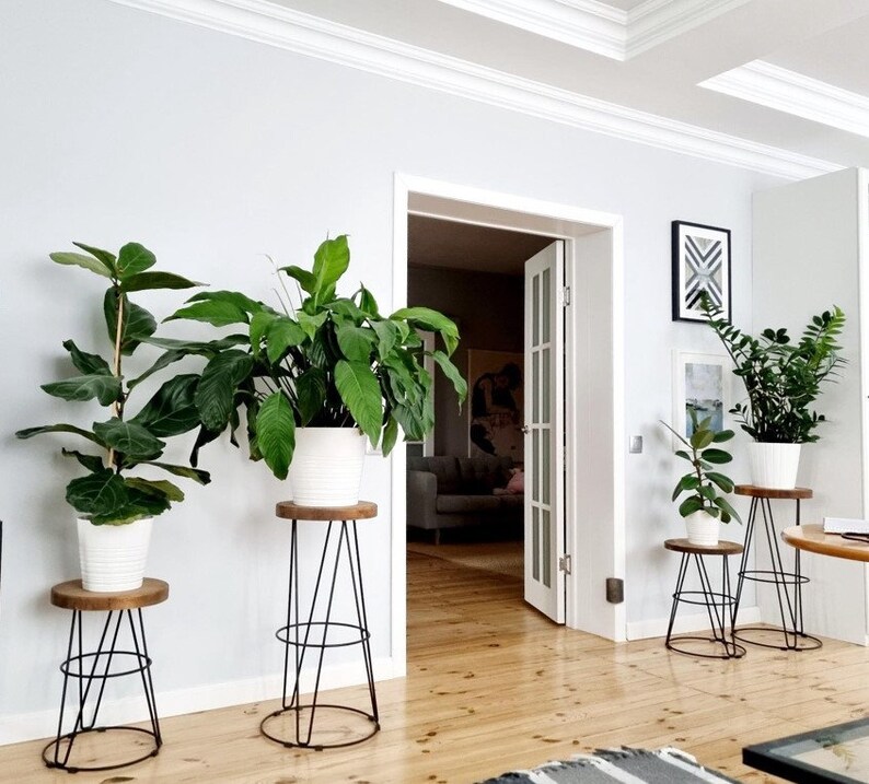 Loftie® Bar Stool for Home Bar, Counter Stool Chair Modern, Shop