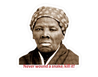 Viny Sticker / Decal - Harriet Tubman Quote Never Wound a snake; Kill it - African American Pride Strong Black Woman