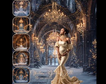 Digital Photography Backdrop Winter Hall, Gothic Castle Hall Snow Background, Maternity Christmas Portrait Overlay Photoshop Composite