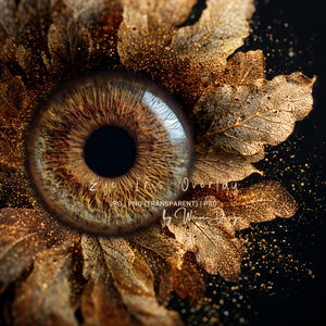 Op de afbeelding: Een digitaal kunstbeeld met een gedetailleerde bruine oogiris met een zwarte pupil, omringd door gouden, bladachtige structuren. De tekst "Eye Iris Overlay" is zichtbaar, samen met informatie over het bestandstype en de naam van de kunstenaar.