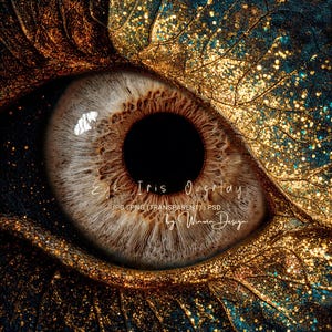 Könnte beinhalten: Nahaufnahme eines detaillierten Augen-Overlays mit brauner Iris und schwarzer Pupille. Das Bild zeigt goldene und türkisfarbene Akzente mit dem Text "Eye Iris Overlay" und "by Winwin Design".