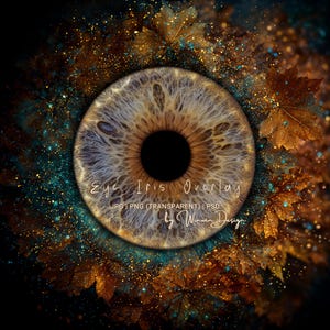 May include: A digital art piece featuring a detailed eye iris overlay. The iris is a mix of brown and blue hues, surrounded by autumn leaves and sparkling accents. Text reads "Eye Iris Overlay" and "by Winwin Design."