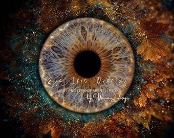 Fondo de superposición de iris de ojo macro: marco de fotografía de ojo humano con temática otoñal, superposición de Photoshop, archivo de fondo JPG, PNG y PSD transparente