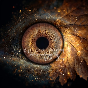 May include: A detailed digital art piece featuring a close-up of a brown eye iris with intricate patterns. The eye is set against a dark, starry background with golden sparkles and a textured leaf. Text reads "Eye Iris Overlay".
