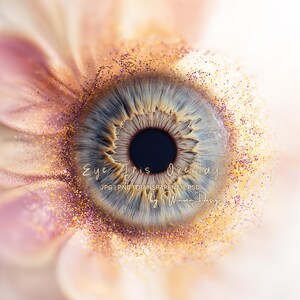 May include: Close-up of a human eye iris overlay with a light blue iris and a dark pupil. The image is surrounded by a soft, blurred pink and gold glitter effect. Text on the image reads "Eye Iris Overlay" and "by Winwin Design".