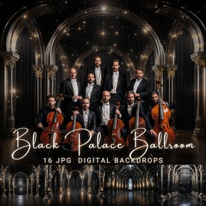 Palace Ballroom Digital Backdrop Dark Background Elegant Photography Backdrop Digital Photoshop Overlay Concert Portrait Background
