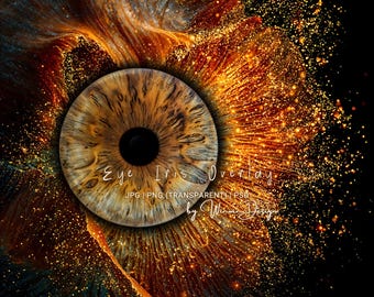 Marco para fotografía macro de ojos, fondo con iris, fondo de Photoshop con inserción de ojos florales, archivo de fondo transparente con superposición JPG, PNG y PSD.