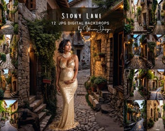 Stone Lane Village Maternity Digital Backdrop, Rustic Scenery (JPG File)