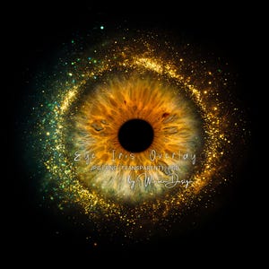 May include: A digital eye iris overlay with a detailed, golden-brown iris and a black pupil. The image is surrounded by a sparkling, golden and teal galaxy effect. Text reads "Eye Iris Overlay" and "by Winwin Design".