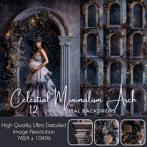 Celestial Minimalism Arch Digital Backdrop – Modern Maternity Photography Background, Floral Overlay, Fine Art Composite