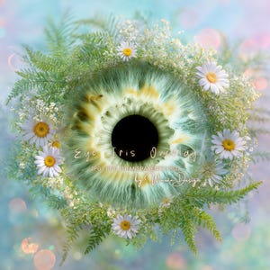 May include: A digital artwork showing a close-up of a human eye iris, encircled by a wreath of daisies and ferns. The iris displays green and yellow tones, with the text "Eye Iris Overlay" and "by Winwin Design".