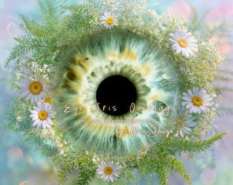 Fondo floral con iris: fondo transparente de Photoshop con iris, fondo macro con tema primaveral, archivo JPG, PNG y PSD, descarga instantánea.