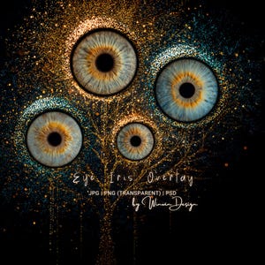 May include: Digital art featuring four eye iris overlays in shades of blue, gold, and brown, arranged in a tree-like pattern against a black background. The text "Eye Iris Overlay" is visible, along with file type information and the designer's name.