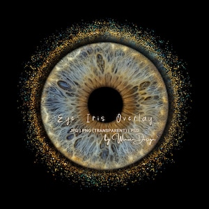 Puede incluir: Una superposición detallada del iris del ojo sobre un fondo negro. El iris presenta una mezcla de tonos marrón, azul y beige, con una pupila oscura en el centro. El texto dice "Eye Iris Overlay" y "by Winwin Design".