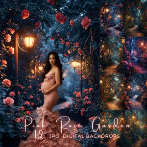 Pink Rose Garden Digital Backdrop Roses Background Valentine&#39;s Photography Overlay Enchanted Garden Maternity Photoshop Composite Portrait