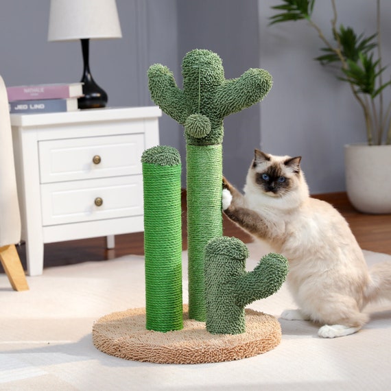 Cat cactus scratcher top
