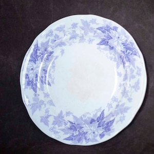 French Vintage Sarreguemines Round Large Serving Bowl