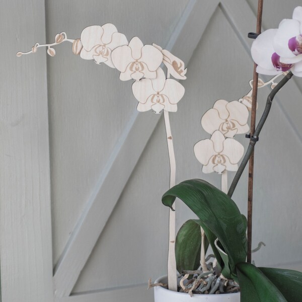 Orchidee steker hout