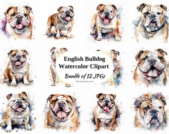 English Bulldog Watercolor Clipart – 12 JPG Digital Art Images (Digital Download)