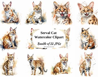 Serval Cat Watercolor Clipart - Digital Art Bundle (12 JPGs)