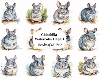 Chinchilla Watercolor Clipart – 12 JPGs, Commercial Use (Digital Download)