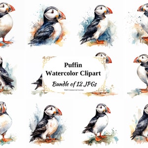 Pack de cliparts numériques Macareux - 12 fichiers JPG de haute qualité - téléchargement numérique - fabrication de cartes, scrapbooking, papier numérique, fournitures créatives, licence