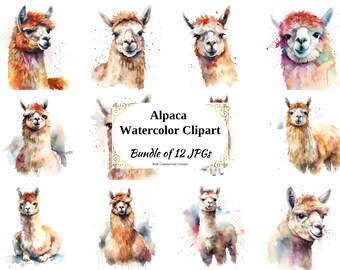 Watercolor Alpaca Clipart Set – 12 JPG Images (Digital Download)