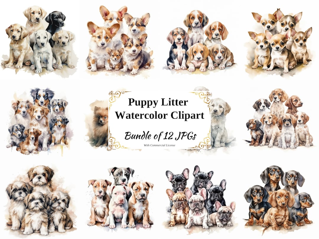 Cute Puppy Litter Digital Clipart Pack - 12 High Quality Jpgs - Digital Download - Card Making ...