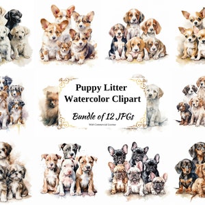 Schattige puppy nest digitale clipartpakket - 12 hoge kwaliteit jpg's - digitale download - kaarten maken, scrapbooking, digitale papierkunst, honden